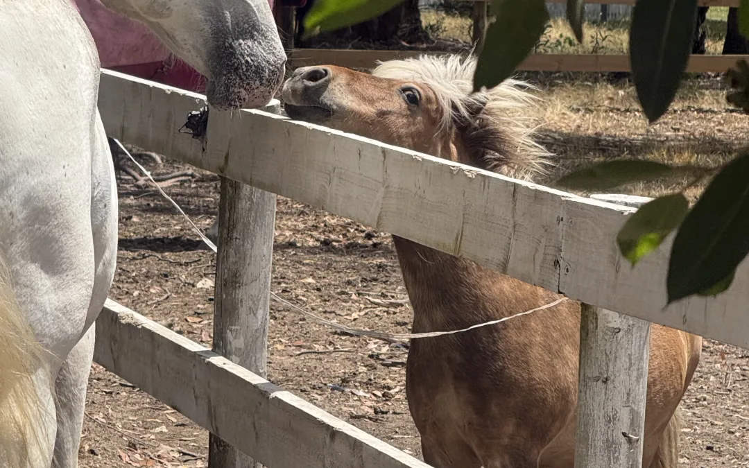 Finding your herd…